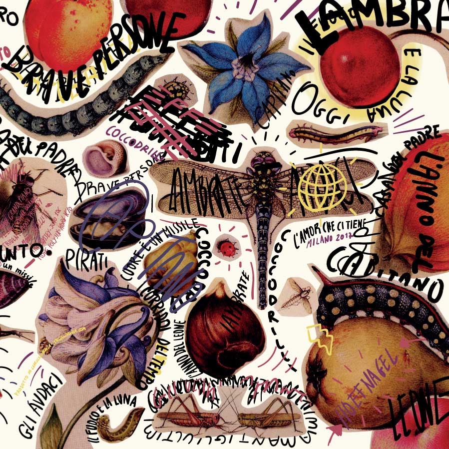 Effe Punto Coccodrilli cover